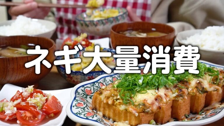 ネギを大量に使って4品作る30代夫婦2人のリアルな晩ごはん｜自炊記録【厚揚げのネギ味噌焼き】