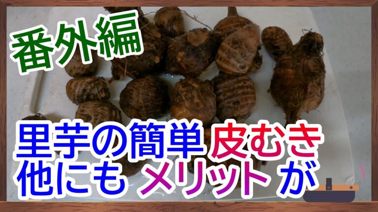 番外編・【里芋】の簡単な皮むき方法　【楽しい家庭菜園】