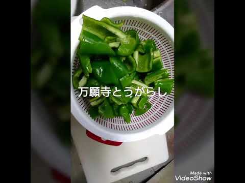 免疫力アップ 万願寺とうがらし甘辛いため