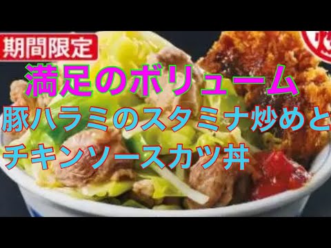 【かつや期間限定】やみつき確定！かつやの新作が止まらない美味しさ
