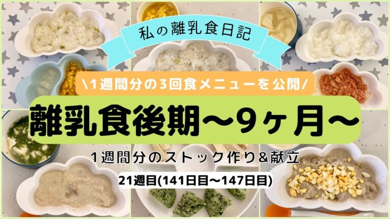 【離乳食後期】1週間分のストック作り&献立/生後9ヶ月/ハンドブレンダー使用/What my 9 month old eats in a week/Baby food prep/21週目