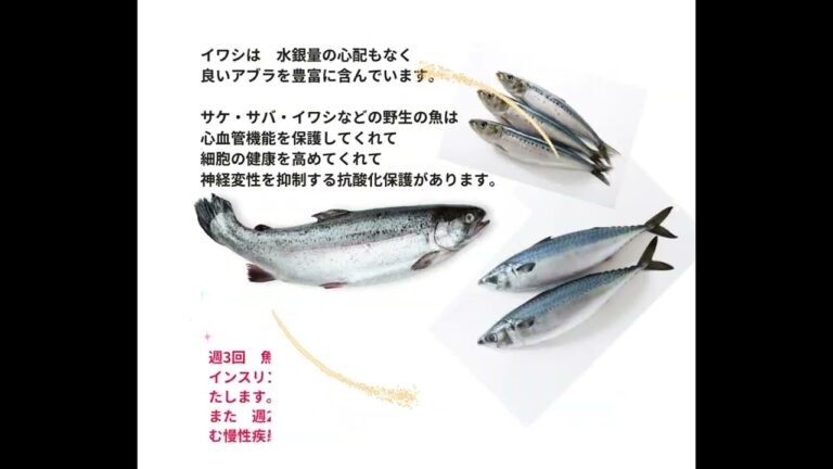 イワシの生姜煮