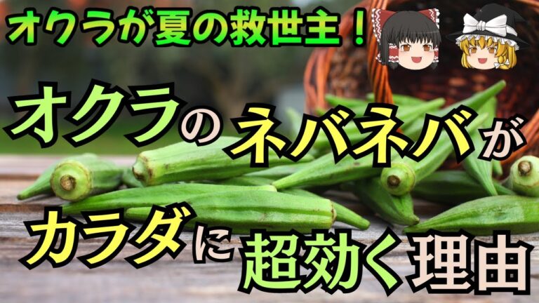 【ゆっくり解説】オクラで夏バテ防止！その栄養素と効果