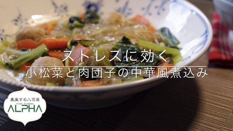 In Yan YAKUZEN ストレスに効く！小松菜と肉団子の煮込み
