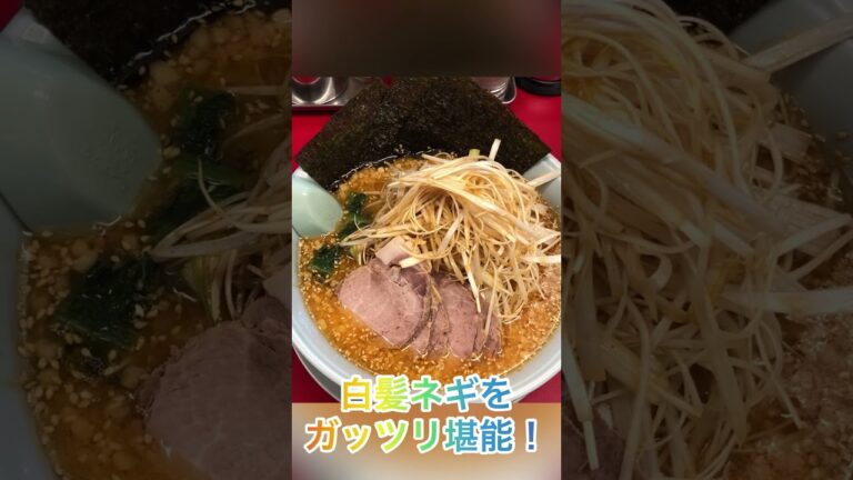 【ラーメン山岡家】特製味噌ﾈｷﾞﾁｬｰｼｭｰ麺✨白髪ネギを追加してトリプルで堪能♪【岐阜 ラーメン】