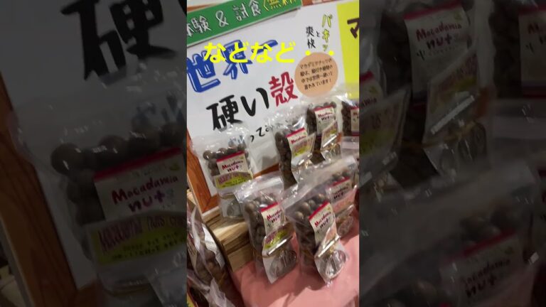 ちこり村 栗きんとん生食パン🍞うまい #shorts  #ちこり村