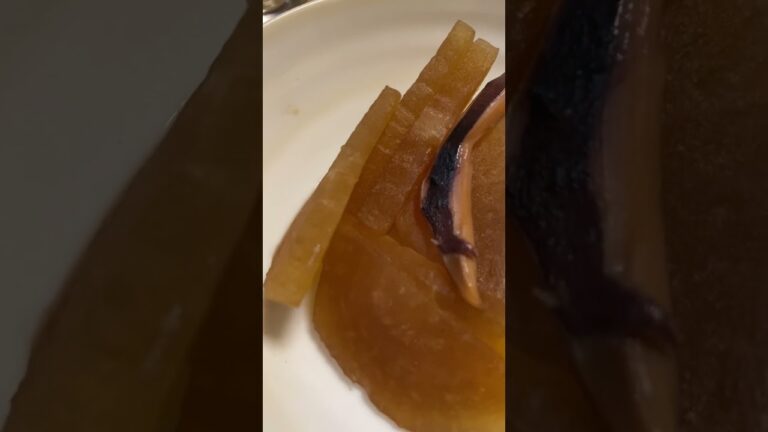 2021/12/2 大根とイカ #shorts