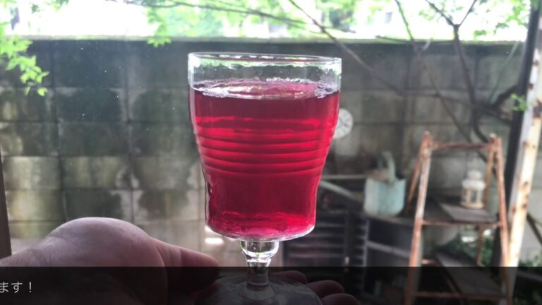 赤紫蘇ジュース　夏バテ防止　ゆかりレシピ付き