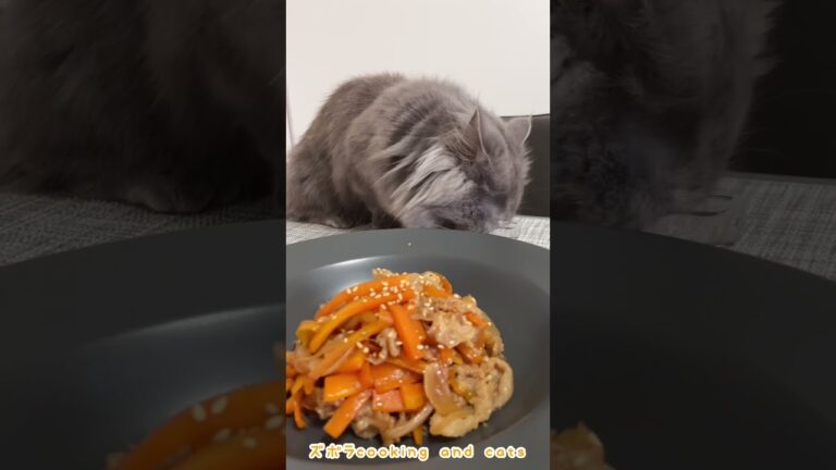 人参と豚肉の甘辛炒めwith cats #shorts