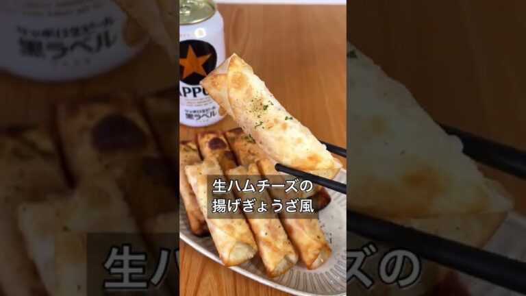 生ハムチーズの揚げぎょうざ風