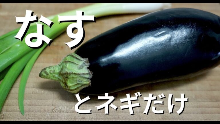 簡単トロトロでねぎでナスな奴【こういうので良い】ドイツで自炊。
