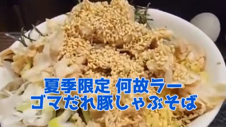 夏季限定 何故ラー ゴマだれ豚しゃぶそば