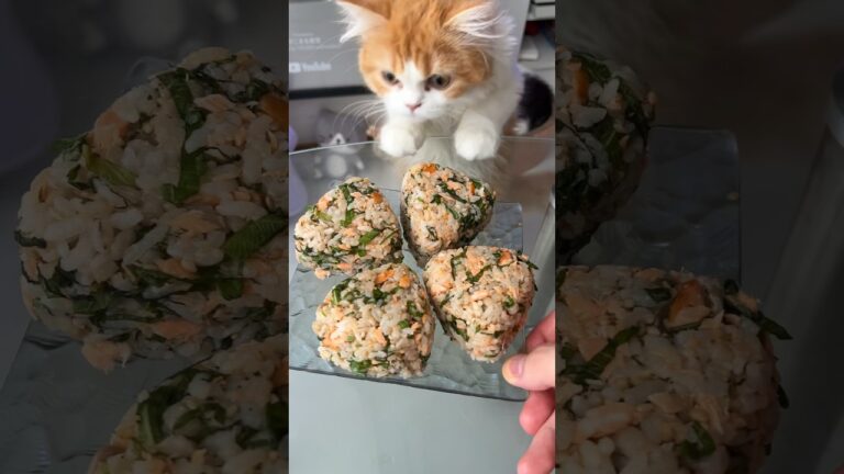 最高に美味い鮭おにぎり作った結果ww #shorts