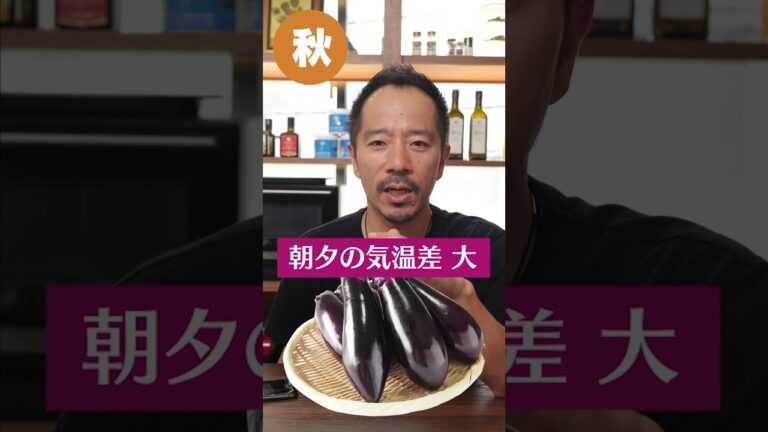 秋茄子を鬼ほど美味しく食べる方法#shorts #なす#茄子