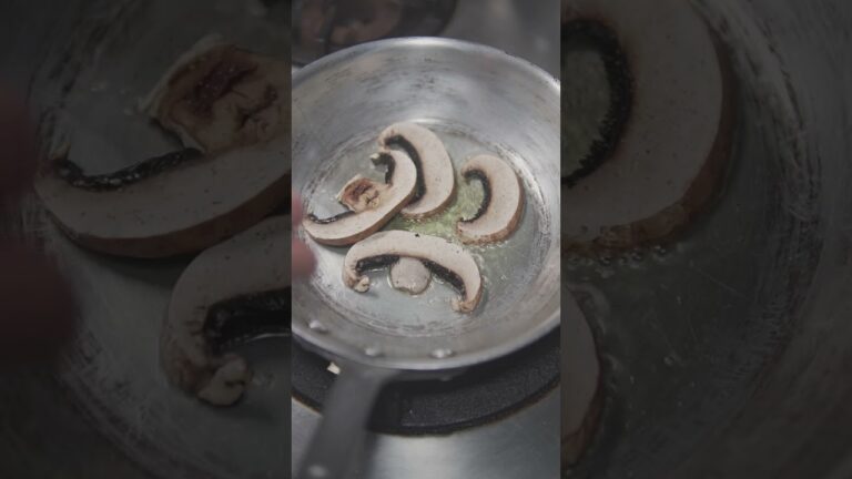 #shortsジャンボブラウンマッシュルームTauchi Style No.77　jumbo mashroom