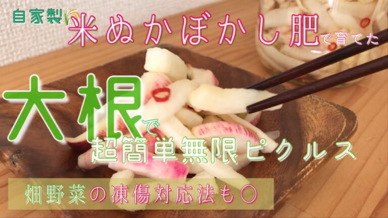 手作り米ぬかぼかし肥効用いかに🍀超簡単！無限ピクルス☺️畑野菜の凍傷対応法も⭕️