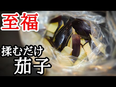 ポリ袋に入れ揉み込むだけで無限茄子の作り方！ご飯のお供に抜群