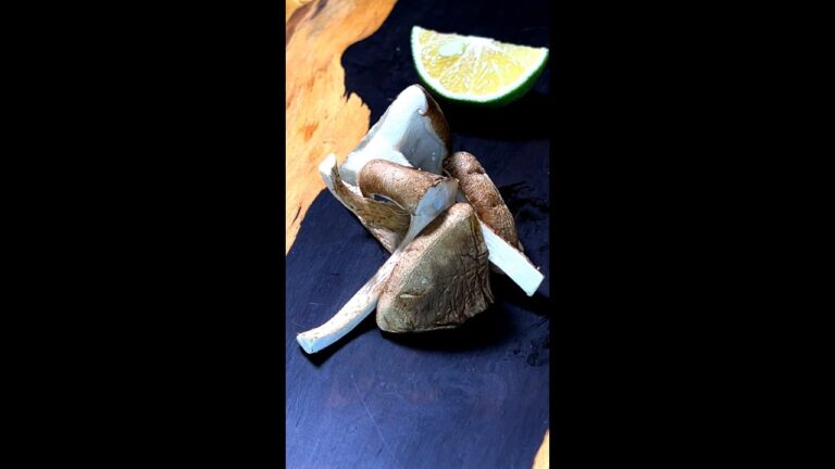 焼き椎茸 #Shorts