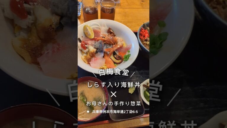 淡路島・洲本市にある「#白梅食堂」にて「#しらす入り海鮮丼」とお母さんの手作り惣菜をいただきます。#洲本グルメ #洲本ランチ #洲本市 #淡路島ランチ #淡路島 #くぼゆう食べ歩きレビュー #くぼゆう