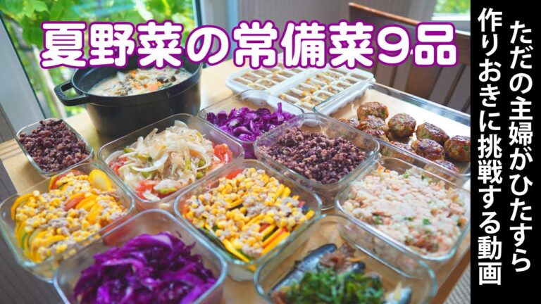 【夏野菜の常備菜9品】ただの主婦がひたすら作りおきに挑戦する動画。
