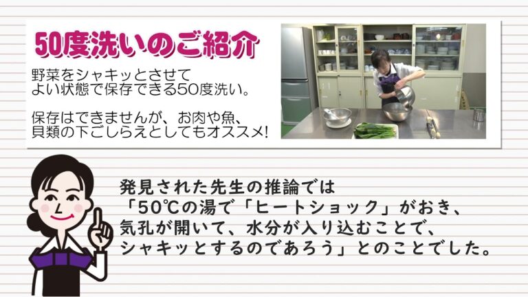 元気がなくなった野菜類がよみがえる？ほうれん草の５０度洗い