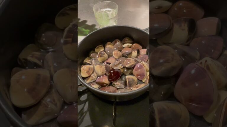 酔いながらハマグリの酒蒸しを作ってみました#料理 #釣り #おつまみ #北海道