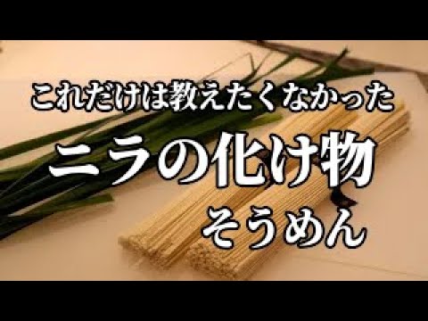 【そうめんレシピ】ニラ料理で最も美味しいレシピ　これだけは教えたくなかったが、逆にこれだけは覚えてほしいレシピ
