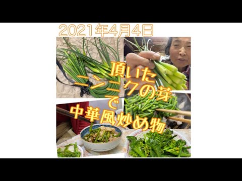 頂いたニンニクの芽で中華風炒め物