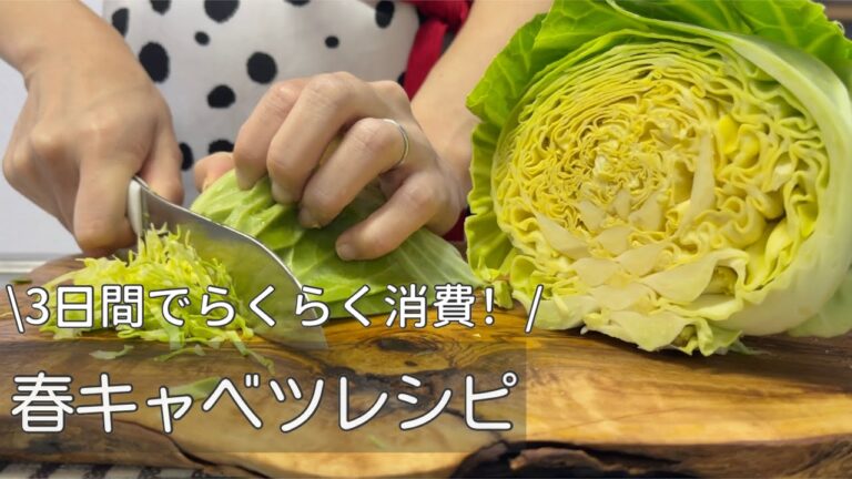 2人暮らしの頑張らないごはん🥬春キャベツ1玉使い切り！野菜たっぷり3日間の簡単レシピ