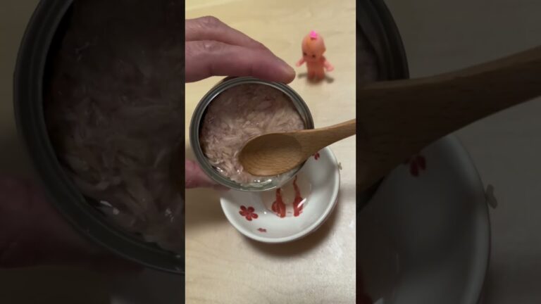 ツナ缶でできるズボラ飯　#shorts