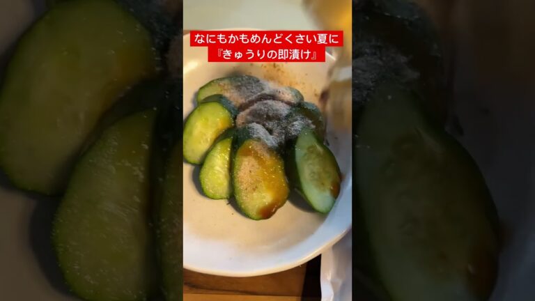 【きゅうり】きゅうりの即漬けナリ!!! #新人vtuber #宝灯桃汁 #やすまるだし公式アンバサダー