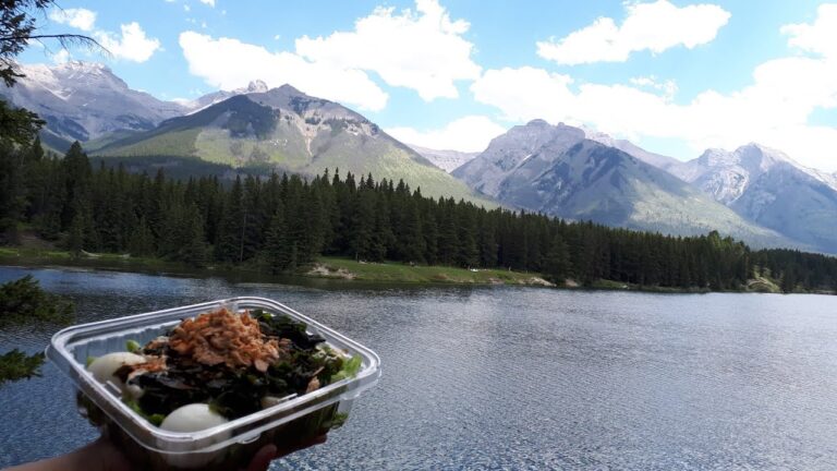 【絶景飯・ピクニック】ジョンソンレイクでツナサラダうどん弁当ピクニック。ダウンタウンで薬局、図書館、郵便局、銀行に行ったカナダ生活ブイログ