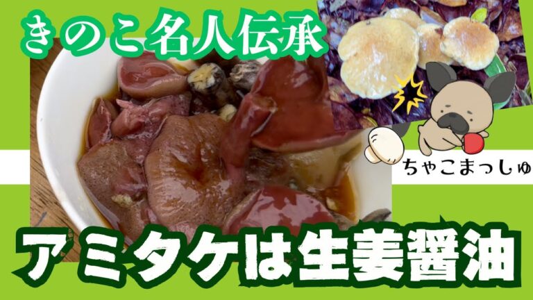アミタケの名人料理法〜きのこ名人伝承2024