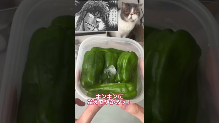 夏に最高なピーマンの食べ方試した結果ww #shorts