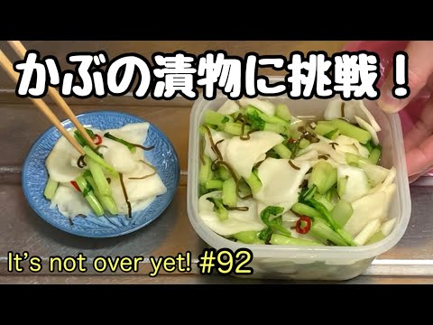 かぶの漬物に挑戦！超お手軽漬物。漬物あると飯も進む！たぬきッチン【アラ還暦バツイチ週末Vlog】