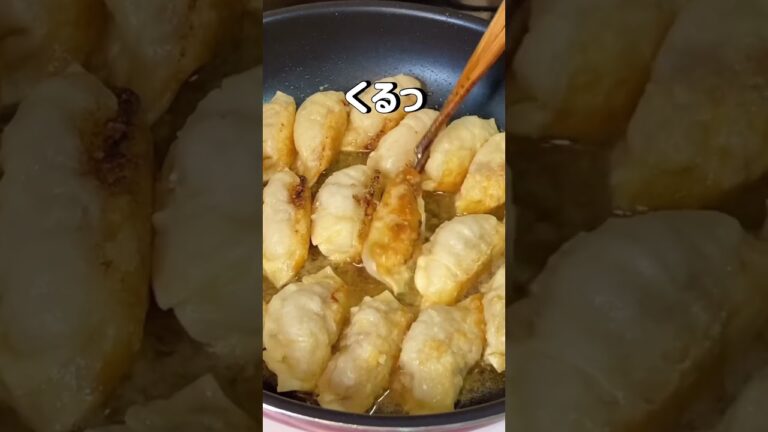 お弁当に困ったらこれ！餃子弁当！【飯テロ】【料理動画】