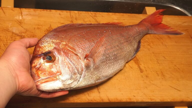 マダイのさばき方とカルパッチョの作り方-How to fillet Red snapper and Carpaccio