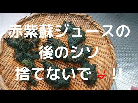 【赤紫蘇ジュースのシソSDGs】しその葉っぱ捨てないで!２つの活用方法　