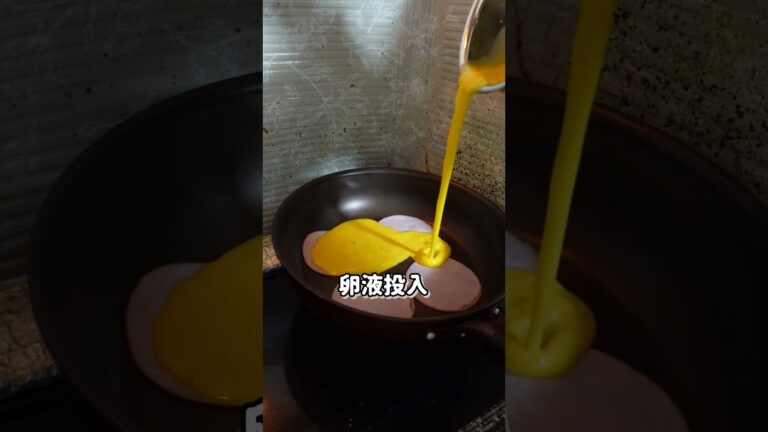 じゃがいもと鶏もも肉で作る鶏じゃが弁当#213day