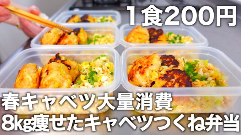 【混ぜて焼くだけ】材料3つで作る【キャベツつくね】オートミールとキャベツの炒飯付きの冷凍弁当５日分