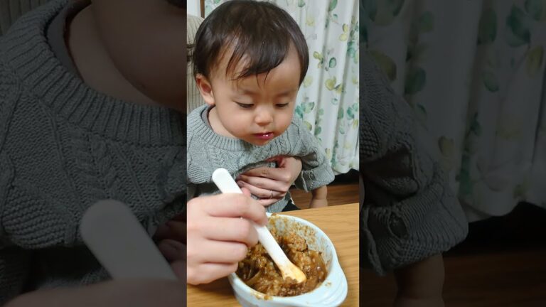 【離乳食：ハヤシライス】ママに抱っこされても食べてくれない💦