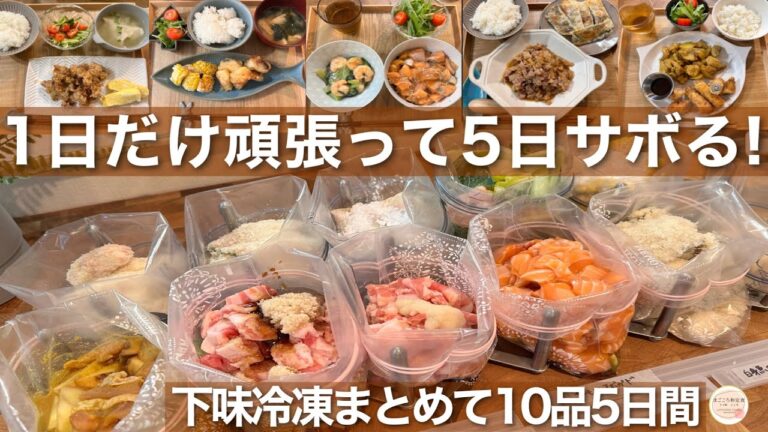 【夏休みSOS】5日間の下味冷凍10品！まとめて作りおき献立+αで忙しいママのピンチを解決！子供が喜ぶおかず