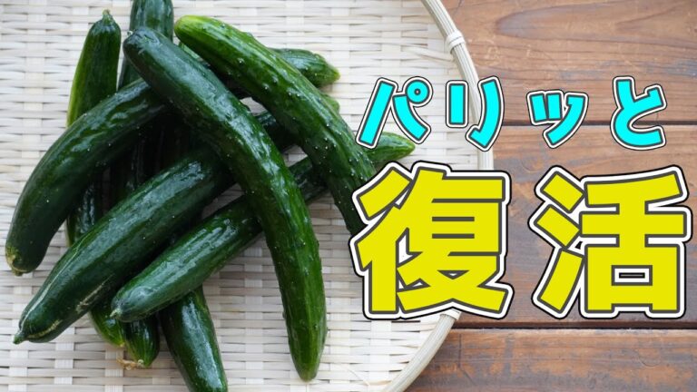 コレやってみて！！萎びたきゅうりの復活法🥒#Shorts