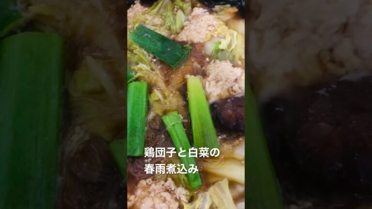 鶏団子と白菜とネギと椎茸の春雨煮込み