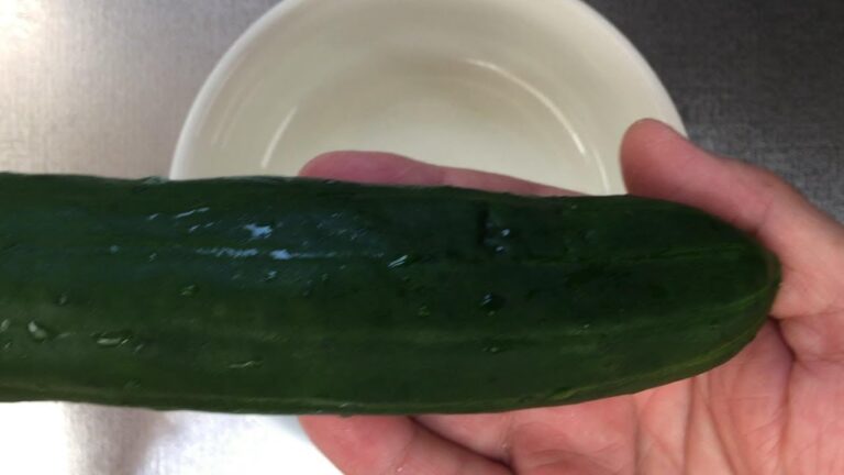 体温を下げる【肥大キュウリ ごま油ポン酢和え】育ちすぎで巨大きゅうりシトルリンたっぷり！夏野菜さっぱりレシピ！