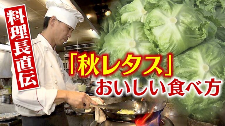 味わい向上！「秋レタス」　チャーハンにスープ…料理長が教えるおいしい食べ方　「火を通してもうまい」