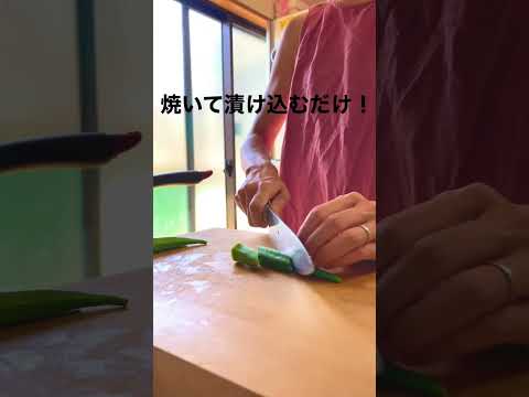 【めちゃ簡単！夏野菜の焼き浸し（여름야채 구워 담그기）】　#shorts#ヘルシー#ズボラ#時短レシピ#おうちごはん#簡単料理#いい女になる＃야채#일식요리