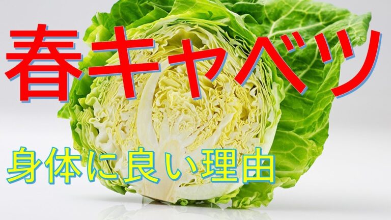 この時期だからこそ食べれる【#健康野菜】とは！？