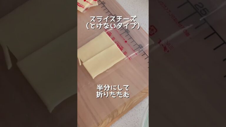 【煮込みハンバーグ】とけだすチーズ入り♪