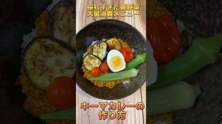 夏野菜の大量消費レシピ【キーマカレー】